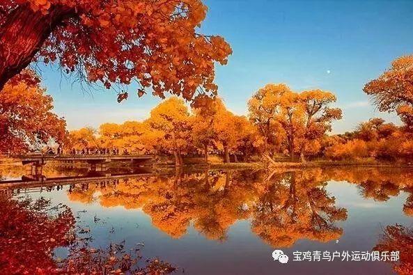 冷知识分享平台怎么样才能很快入睡,揭开奇闻异事